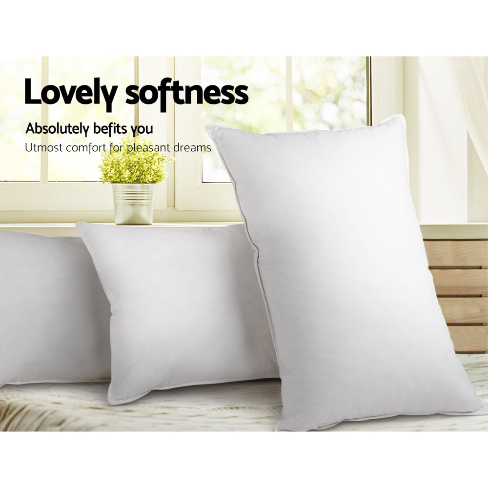 Cascade Duck Feather Pillows – White – Set of 2