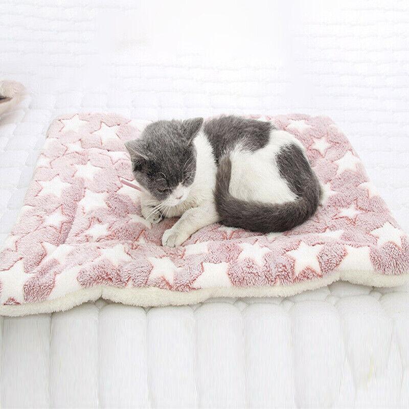 Arlo Pet Cushion Bed – Blue – Large