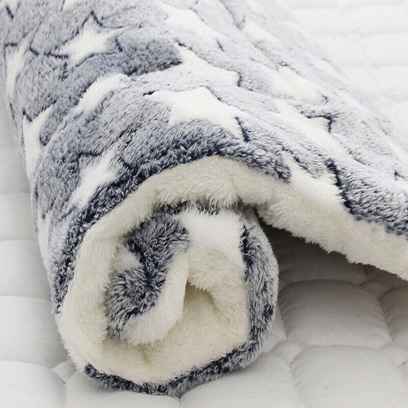 Atlas Pet Cushion Bed – Blue – Small