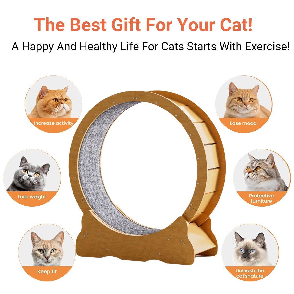 Fitness Cat Exercise Wheel – Brown – Large